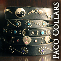 pacocollars-review-200x200